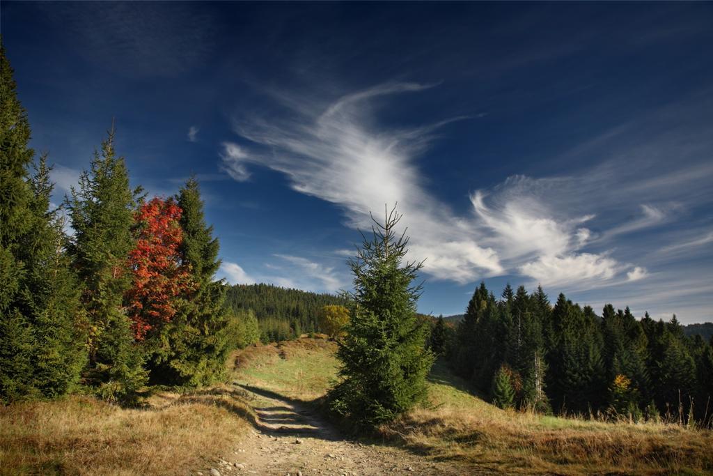 Domek Buflak Nowy Targ Ruang foto