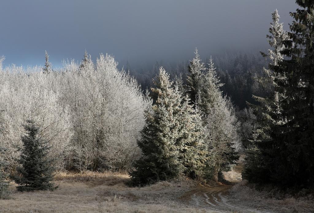 Domek Buflak Nowy Targ Ruang foto